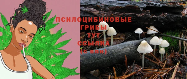 первитин Беломорск