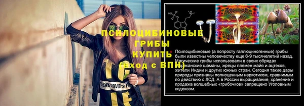 стафф Белоозёрский