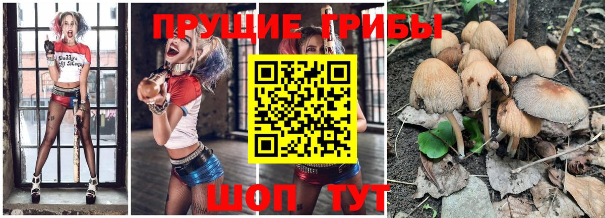 Псилоцибиновые грибы GOLDEN TEACHER  Белорецк  Псилоцибиновые грибы мухоморы 